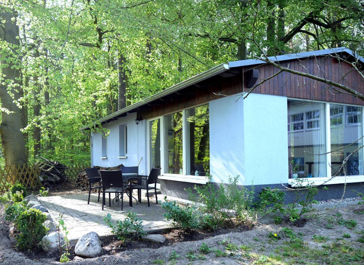 Waldschenke Stendenitz Uebernachten Im Wald Am See Neuruppin Εξωτερικό φωτογραφία